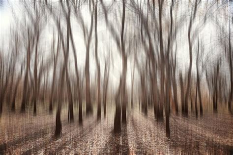 Daytime Photography Sharpness and Color Accuracy