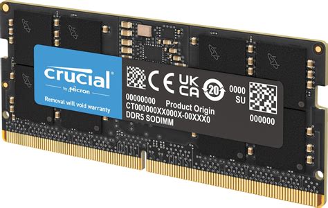 Semua yang Perlu Diketahui Tentang Ddr5 Ram: Kecepatan, Kapasitas, dan Kompatibilitas