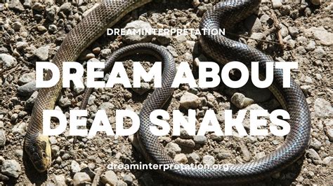 The Shocking Revelation Behind Your Dead Snake Dream: Uncovering the Mystical Significance That Will Leave You Breathless