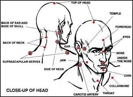 Deadly Pressure Points Chart