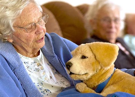 Dealing with Difficult Dogs or Seniors
