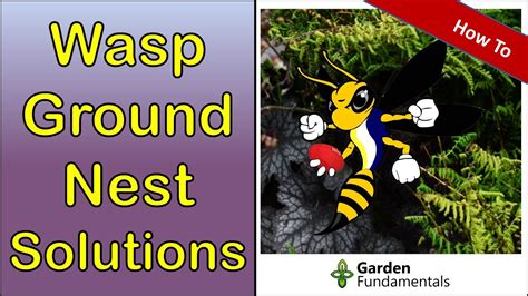 Dealing with Ground Nests