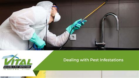 Dealing with Specific Pests