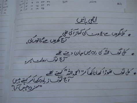 Dear Diary Quotes Images In Urdu