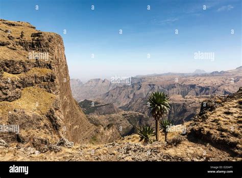 Debark Simien Mountains