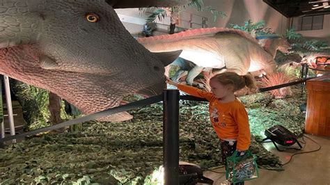 Decatur Illinois Dinosaur Exhibit