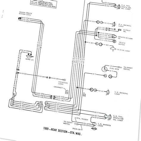 Deciphering Circuitry and Connections