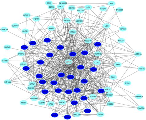 Deciphering Functionality