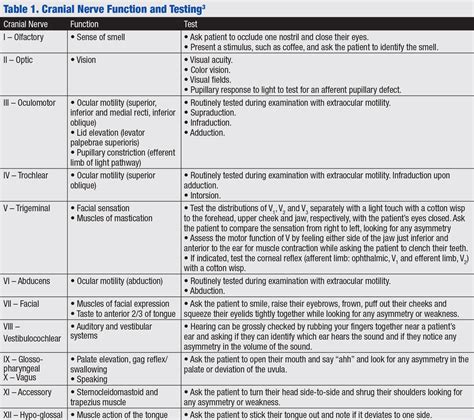 Deciphering Neurological Examination Components Image