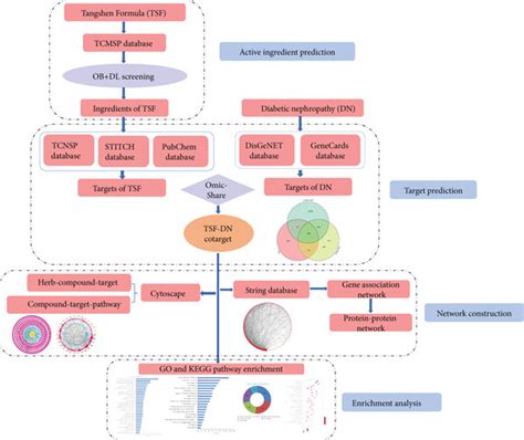 Deciphering the Formula: Key Ingredients Analysis