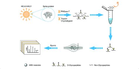 Deciphering the Schematic Structure