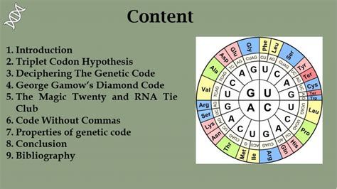 Deciphering the Visual Code Image