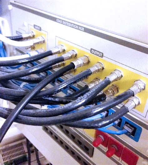 Deciphering the Wiring Patterns