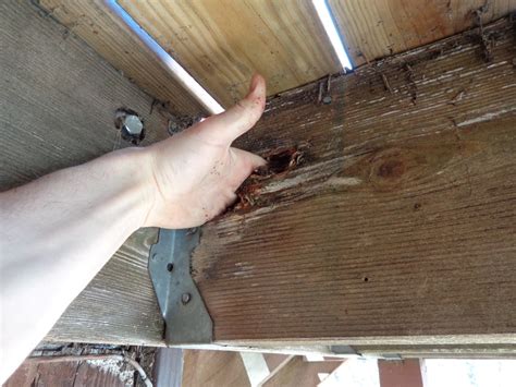 Common Deck Repair Minneapolis Problems