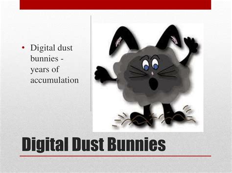 Decluttering Digital Dust Bunnies