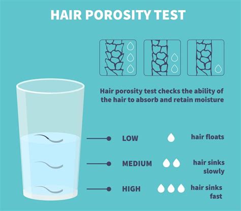 Decoding Curl Porosity