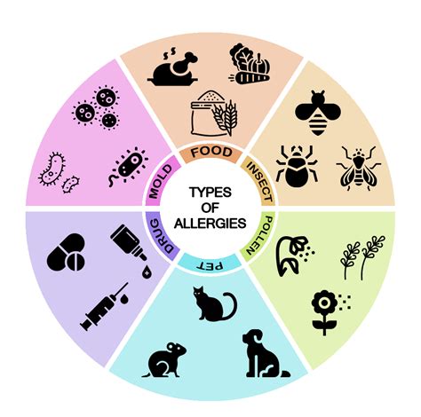 Decoding Different Allergy Types