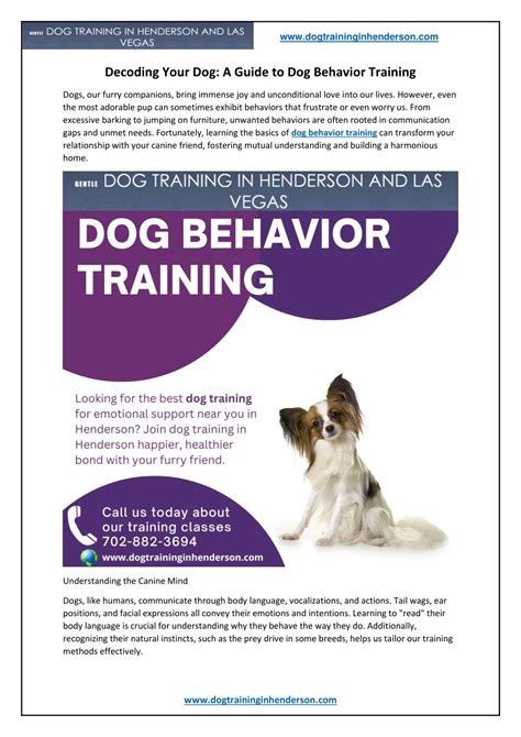 Decoding Dog Behavior: The Basics
