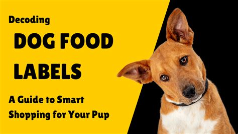 Decoding Dog Food Labels What to Look For