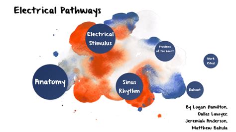 Electrical Pathways Image
