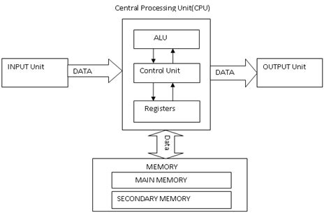 Decoding Functional Components