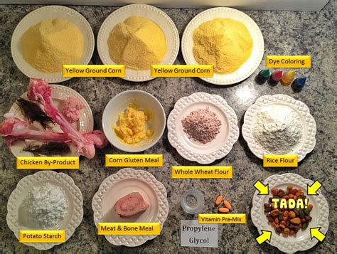 Decoding Kibble Ingredients: What to Look For