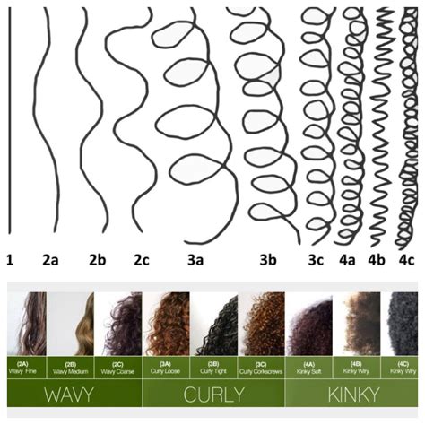Decoding Kinky Textures: Know Your Curl Type
