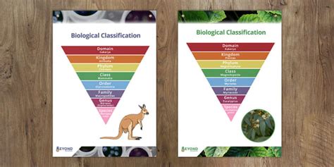 Decoding Life: A Beginner's Guide to Biological Classification & Its Purpose
