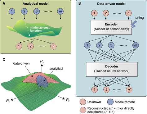 Decoding Pathways 3 PDF Structure