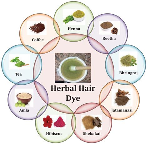 Decoding the Best Natural Hair Color Dye Ingredients