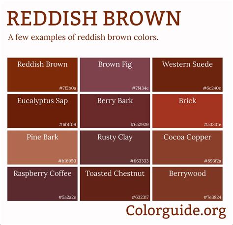 Decoding the Shades: Finding Your Perfect Match