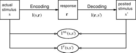Decoding Relationship Dynamics: A Closer Look at the PDF's Wiring Diagram Insights