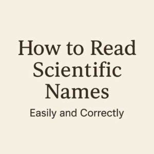 Decoding Scientific Names