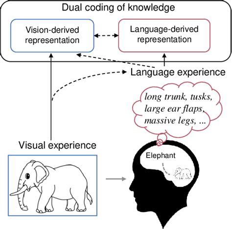 Decoding Visual Representations