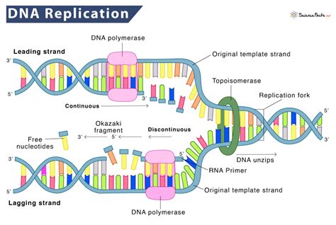 Decoding Your BMWs DNA: What Specs Can You Find