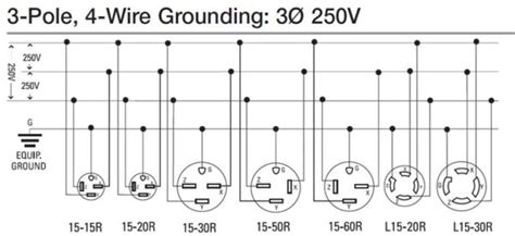Decoding the Blueprint