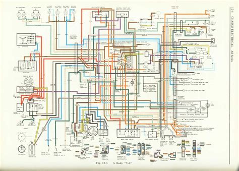 Decoding the Blueprint