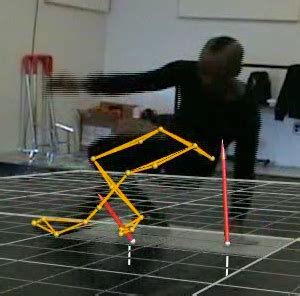 Decoding the Dance of Components