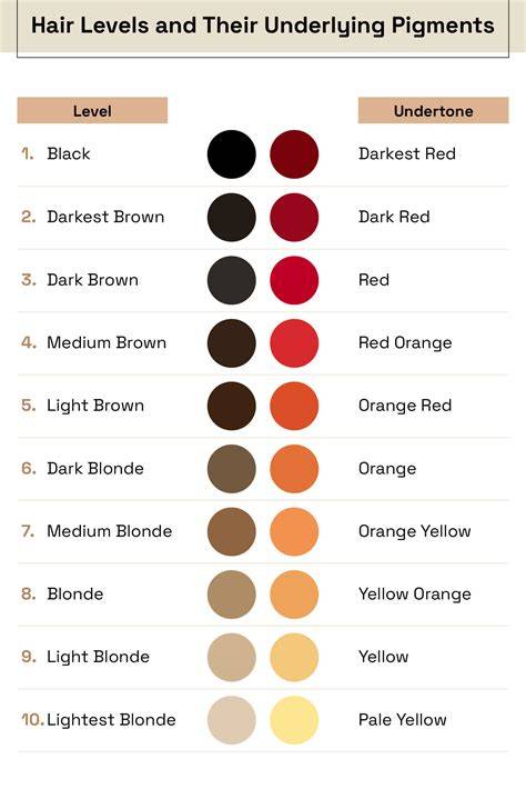 Decoding the Depths of Dark Brown