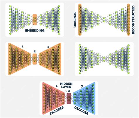 Decoding the Diagram: A Visual Guide