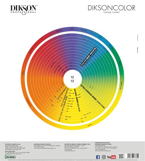 Decoding the Dikson Color Chart: Tips for Perfect Shade Selection