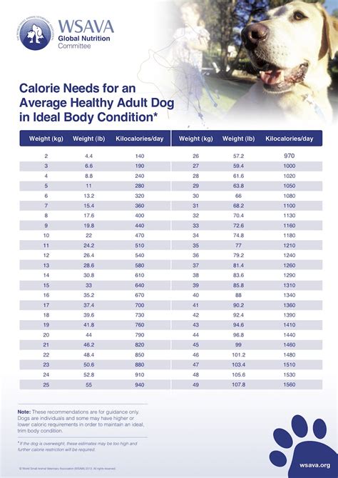 Decoding the Dog Food Label The Daily Calorie Intake