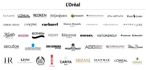 Decoding the Loreal Professional Portfolio: Major Lines Explained
