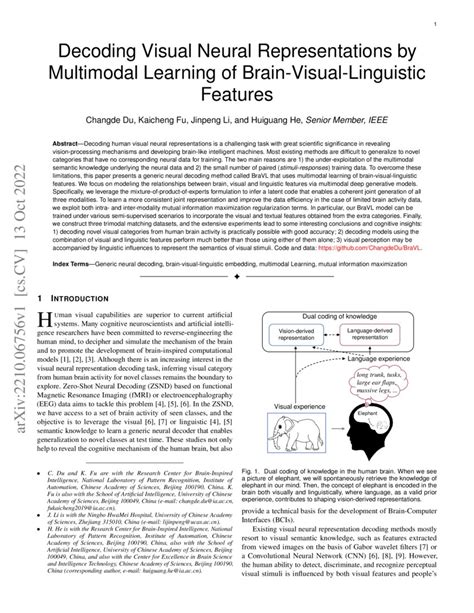 Decoding the Message: Vision in the Brain