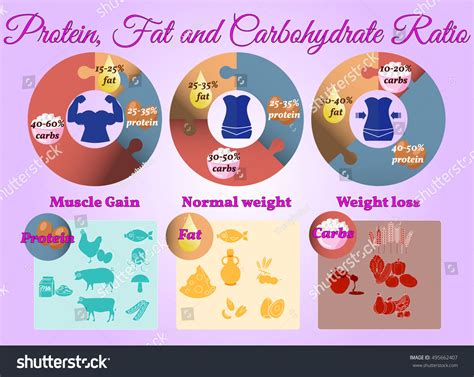 Decoding the Nutritional Science: Protein vs. Fat Ratios