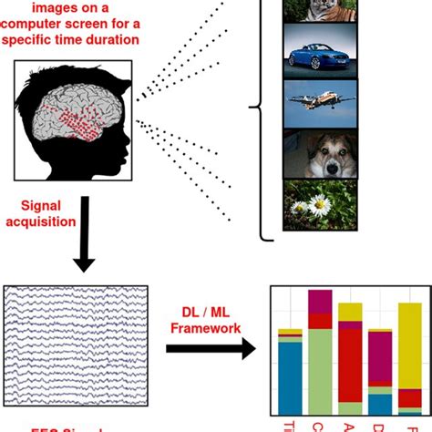 Decoding the Visual Experience: Pixels vs. Clarity