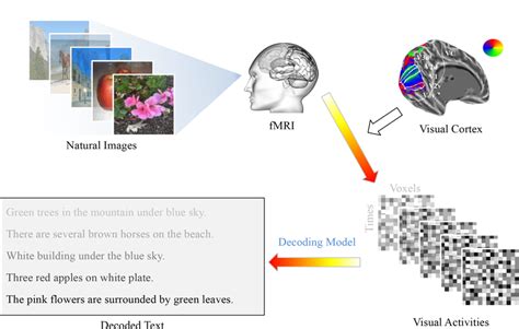 Decoding the Visual Language