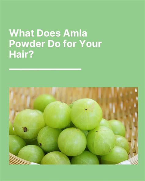 Deconstructing the Formula: The Power of Amla