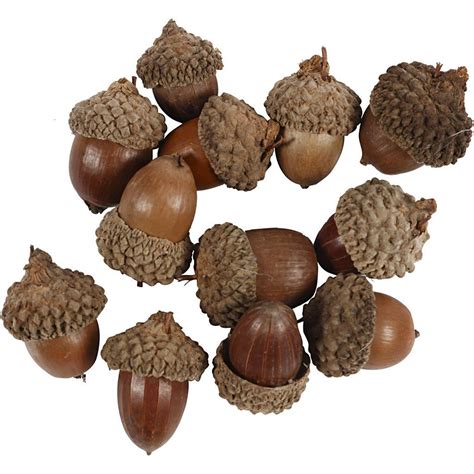 Add Charm to Your Decor with Our Exquisite Decorative Acorns for Sale - Order Now!