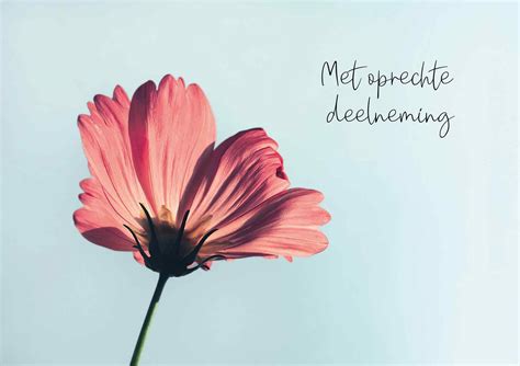 Deelneming In Geassocieerde Onderneming